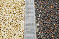 What's the Difference in Taste and Flavor Between Washed and Natural Coffee Beans? An Introduction to Flavor Variations