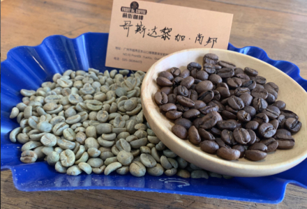 Costa Rica Musician Series Chopin Coffee Beans How to Brew Chopin Coffee Beans for Sweet Flavor