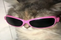 What's the difference between Americano and black coffee? Is Americano black coffee? How does espresso differ from Americano?