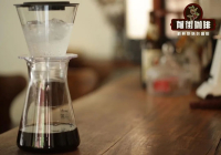 Cold Drip Coffee Characteristics and Flavor Profile: A Coffee Story, Recommended Coffee Beans for Cold Drip Brewing