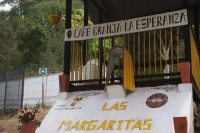 Colombia Hope Estate Margaret Estate Geisha! How is Hope Estate Natural Process Coffee Beans?