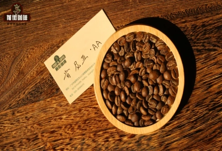 What's the Difference Between AA and AB Grade Coffee? What Are the Three Main Grading Systems for Coffee Beans? What Are the Characteristics of Kenyan Coffee?