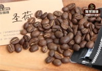 Do Sherry Oak Barrel-Treated Coffee Beans Contain Alcohol? Can You Drive After Drinking Barrel-Aged Coffee?
