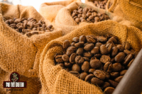 Differences Between Light, Medium, and Dark Coffee Roast Stages - Coffee Bean Roast Degree and Acidity