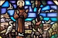 How to Make Authentic Italian Cappuccino: The Right Espresso Ratio