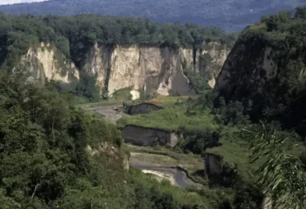 What are the characteristics of Indonesian coffee? Where is Sumatra coffee grown?