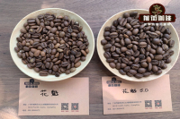 Is Guaye an Arabica Coffee? How to Best Brew Guaye Coffee Beans for Cold Brew?
