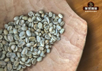 What Variety is Geisha Coffee? Is it Arabica? Introduction to Geisha Coffee's Flavor Profile and Taste Characteristics
