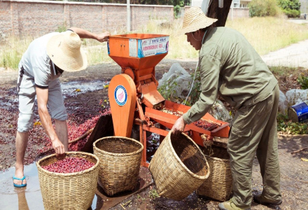 What is the Washed Processing Method? An Introduction to Washed Coffee Bean Processing and Flavor Characteristics