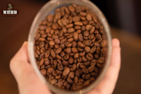 Understanding Single-Origin Coffee Beans: Surprising Insights About the Differences Between Single-Origin and Blended Coffee