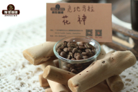 Starbucks Guatemala Antigua La Minita Estate Flora Coffee Bean Flavor Characteristics and Origin Story