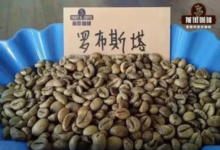 What Are Robusta Coffee Beans? Understanding Robusta Coffee Characteristics, Pros and Cons