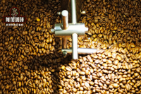 Typica Variety Characteristics of Blue Mountain Coffee: Authenticity Identification and Ideal Roasting Profile