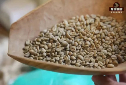What's the Difference Between New, Old, Aged, and Vintage Coffee Beans? What Does 