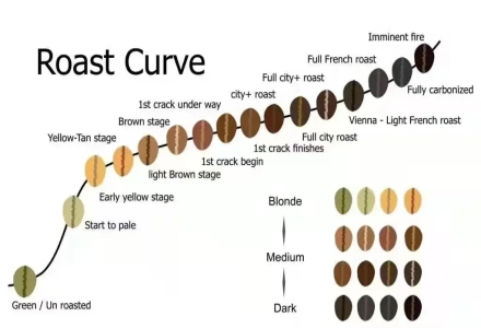 Guide to Judging Yellow Point and First Crack in Coffee Bean Roasting: What Causes Underdeveloped and Astringent Flavors in Coffee?