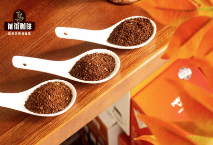Flavor Differences Between Light, Medium, and Dark Roast Arabica Specialty Coffee Beans