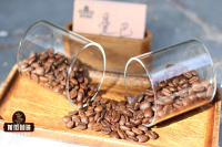 Coffee Bean Fundamentals: Introduction to Mamba Coffee