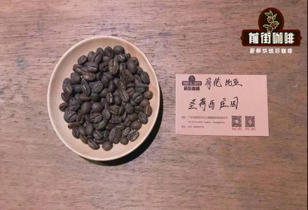 Colombian Coffee Beans | Information Introduction of Finca San José Premium Coffee Beans - What is Rum Oak Barrel Fermentation Processing Method? Is it the Same as Honduras' Sherry Barrel Processing?