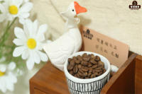 Sidamo Coffee Flavor Profile, Taste Characteristics, Origin, Processing Method & Variety Introduction