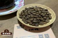 Panama Premium Coffee Variety Geisha - Arabica Cultivar from Boquete, Panama