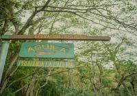 Panama La Esmeralda Estate - Official Coffee Bean Introduction from the Emerald Estate