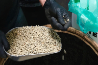 Recommendation for Colombia Finca San Jose Pour-Over Coffee Beans - How to Brew Rum Barrel Fermented Coffee?