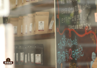 Beginner's Guide to Coffee Bean Types: How Beginners Should Choose Coffee Beans and Which Brand is Best?