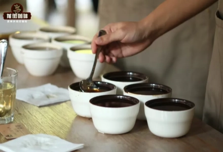 Coffee Cupping Standards and Procedures! What Are the Key Considerations for Coffee Cupping? What Is the Purpose of Cupping?