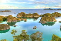 Which Islands in Indonesia Have Coffee Regions? Where is Java Coffee Grown?