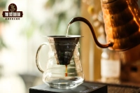 What Mesh Size Should Be Used for Pour-Over Coffee Metal Filters? What Are the Differences Between Metal Filters and Filter Paper? How Many Microns Does 400 Mesh Equal?