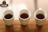 What Coffee Beans Should Beginners Buy? Best Coffee Beans for Coffee Novices