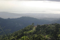 How to Brew Delicious Instant Coffee at Home: Expert Tips from FrontStreet Coffee