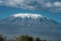 What are the characteristics of Tanzanian coffee and how is it graded?