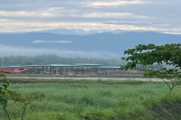 Why Does Most Colombian Coffee Come from the Huila Region? What Are the Characteristics of Huila Region Coffee?