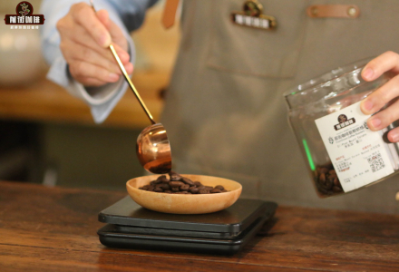 How Much Does Authentic Jamaica Blue Mountain No. 1 Coffee Cost? How to Make Americano with Blue Mountain Blend Coffee Beans?