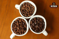 Essential Coffee Terminology Every Beginner Must Know! What are By-pass, Crema, Geisha, and Guanhua?