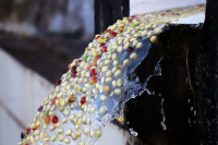 Washed Yirgacheffe Coffee Flavor: Hand-Drip Brewing Characteristics and Profile