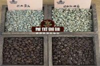 Brazil Queen Estate Single Origin Coffee Bean Flavor Profile Characteristics and Cultivation History Introduction to Premium Brazilian Coffee Beans