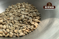 Where are Panama's Coffee Regions? Panama Coffee Characteristics, Brewing Suggestions, and Flavor Notes