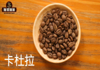 What are the characteristics of the Caturra coffee variety and what advantages does growing Caturra offer?