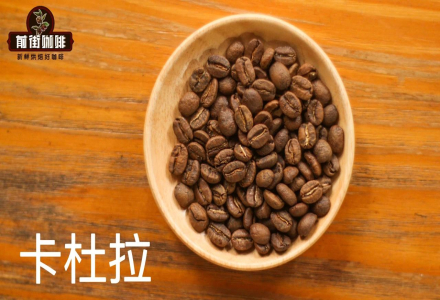 What are the characteristics of the Caturra coffee variety and what advantages does growing Caturra offer?