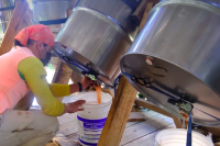 Why Are Coffee Processing Methods Becoming Increasingly Complex?