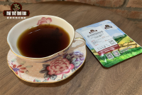 What Qualities Should High-Quality Drip Bag Coffee Have? Which Brand is Best for Drip Bag Coffee?