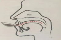 How to Properly Taste Pour-Over Coffee: Cupping, Slurping Technique, and Its Purpose
