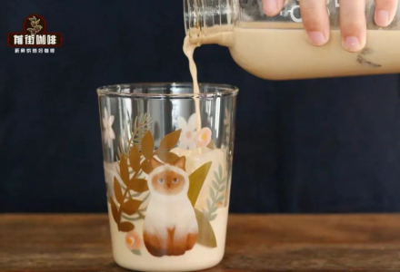 How to Make Milk Brew Coffee at Home: What Is Milk Brew Coffee and Which Milk Works Best?