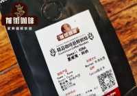 Introduction to Kona Coffee Beans - One of the World's Most Beautiful Coffee Beans