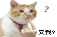 Is Inability to Taste Coffee Flavors Always a Palate Problem? Why Strong Coffee Makes Flavors Harder to Perceive