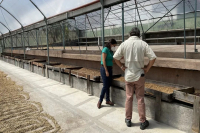 The Origin Story of Costa Rica Honey Processing Method - A Comprehensive Pour-Over Tutorial for Honey Processed Geisha Coffee