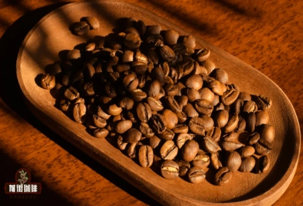 What's the Difference Between Hard and Soft Coffee Beans? How Does Growing Altitude Affect Coffee? How Are Coffee Grades Classified?