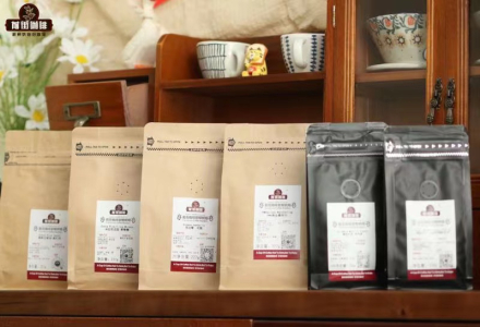 Introduction to Coffee from Panama's Boquete Region: Baru Volcanic Area and Flavor Profile of Boquete Geisha Coffee Beans